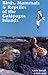 Birds, Mammals and Reptiles of the Galapagos Islands by Andy Swash