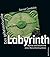Das geheimnisvolle Labyrinth