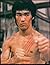 5 Bruce Lee Ebooks: Training Secrets, Physics of Striking, Speed Training, Strength Training, Pressure Points