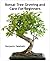 Bonsai Tree Growing and Care For Beginners