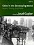 Cities in the Developing World: Issues, Theory, and Policy