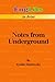 Notes from the Underground: Detailed Summaries of Great Literature (Englits in Print)