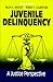 Juvenile Delinquency: A Justice Perspective