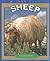Sheep (True Books: Animals)