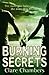 Burning Secrets by Clare Chambers
