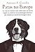 Patas na Europa: Um Vira-lata Brasileiro Muito Sabido Narra Sua Incrível Viagem e as Aventuras Com os Personagens Históricos Que Cruzaram Seu Caminho de Portugal à Grécia