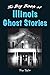 The Big Book of Illinois Ghost Stories (Big Book of Ghost Stories)