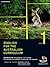 English for the Australian Curriculum Book 1 by Brenton Doecke