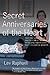 Secret Anniversaries of the Heart: New and Selected Stories by Lev Raphael