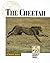 Endangered Animals and Habitats - The Cheetah