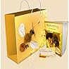 Beekeeping For Beginners
