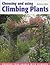 Choosing and Using Climbing Plants by Barbara Abbs