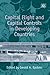 Capital Flight and Capital Controls in Developing Countries