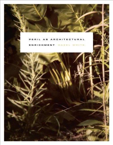 Peril as Architectural Enrichment (Paperback)