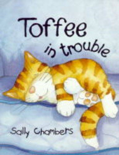Toffee in trouble (Hardcover)