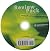 Succeeding in Business with Microsoft Excel 2010 by Course Technology PTR