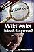 Wikileaks: Is Truth Dangerous?