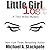 Little Girl Lost (Trick Molloy Mysteries Book 5)