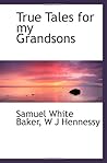 True Tales for my Grandsons