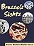 Brussels Sights 2012: a travel guide to the top 30 attractions in Brussels, Belgium (Mobi Sights)