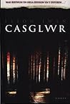 Casglwr by Llion Iwan