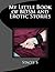 My Little Book of BDSM and Erotic Stories