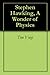 Stephen Hawking, A Wonder of Physics by Tim Voigt