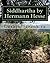 Siddhartha By Hermann Hesse