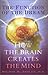 The Function of the Dream How the Brain Creates the Mind