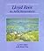 Lloyd Rees: An Artist Remem...