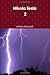 Nikola Tesla 2 (Italian Edition)