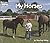 My Horses (Welcome Books: M...