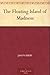 The Floating Island of Madness by Jason Kirby