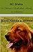 Roxi Needs A Home by R. C. Drake
