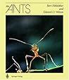 The Ants