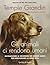 Gli animali ci rendono umani. Riconoscere le emozioni dei nostri amici per migliorare la loro vita