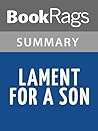 Summary & Study Guide Lament for a Son by Nicholas Wolterstorff