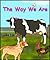 THE WAY WE ARE