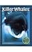 Killer Whales (Predators in the Wild)