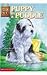 Puppy in a Puddle (Animal Ark (Pb))