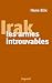 Irak, les armes introuvables