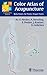 Color Atlas of Acupuncture: Body Points, Ear Points, Trigger Points