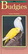 Petlove Guide to Budgies