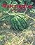 Watermelon (Books for Young Learners)