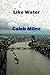 Like Water by Caleb Milne