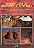 The Riches of Ancient Australia: An Indispensable Guide for Exploring Prehistoric Australia