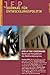 Wto At The Crossroads, Stand Und Perspektiven Des Welthandels... by Kunibert Raffer