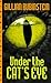 Under the Cat's Eye by Gillian Rubinstein Under the Cat's Eye by Gillian Rubinstein
