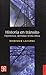 Historia en tránsito. Experiencia, identidad, teoría crítica (Spanish Edition)