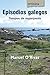 Episodios galegos: Tempos de esperpento (Cronica / Chronicle) (Galician Edition)